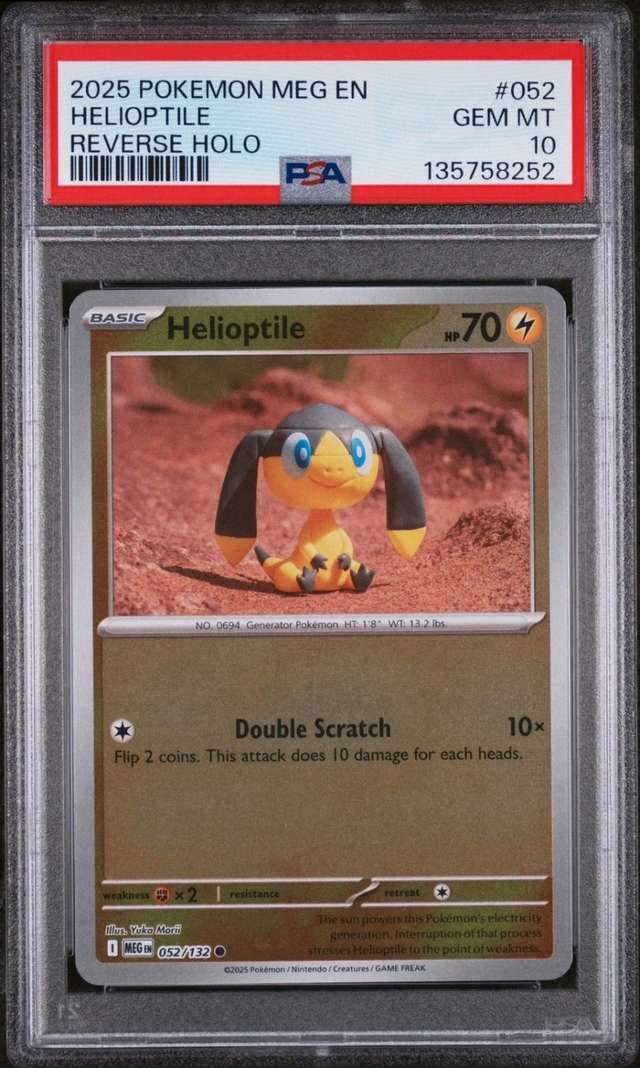 Helioptile