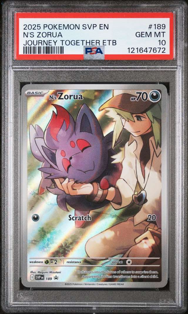 N'S ZORUA