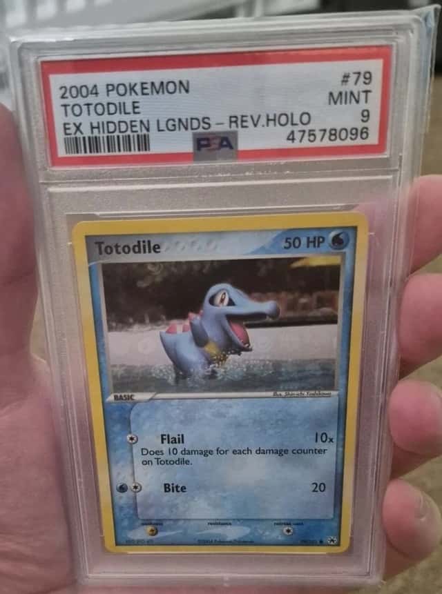 Totodile