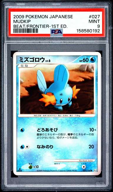 Mudkip