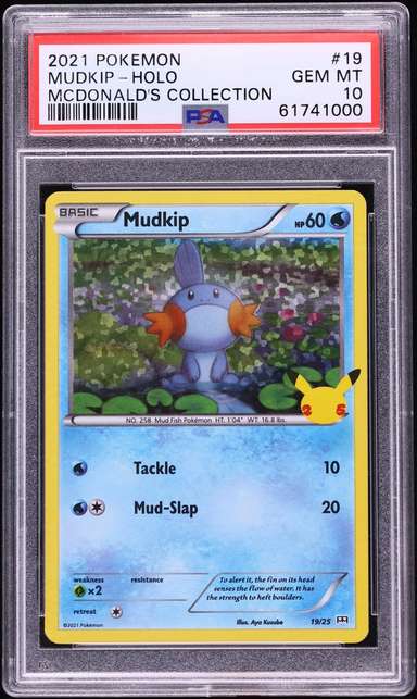Mudkip