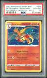 Special Delivery Charizard