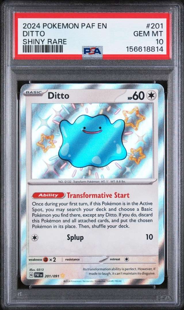 Ditto