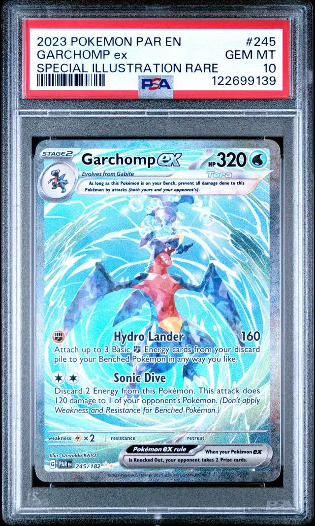GARCHOMP ex