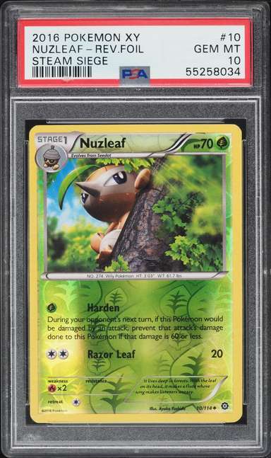 NUZLEAF