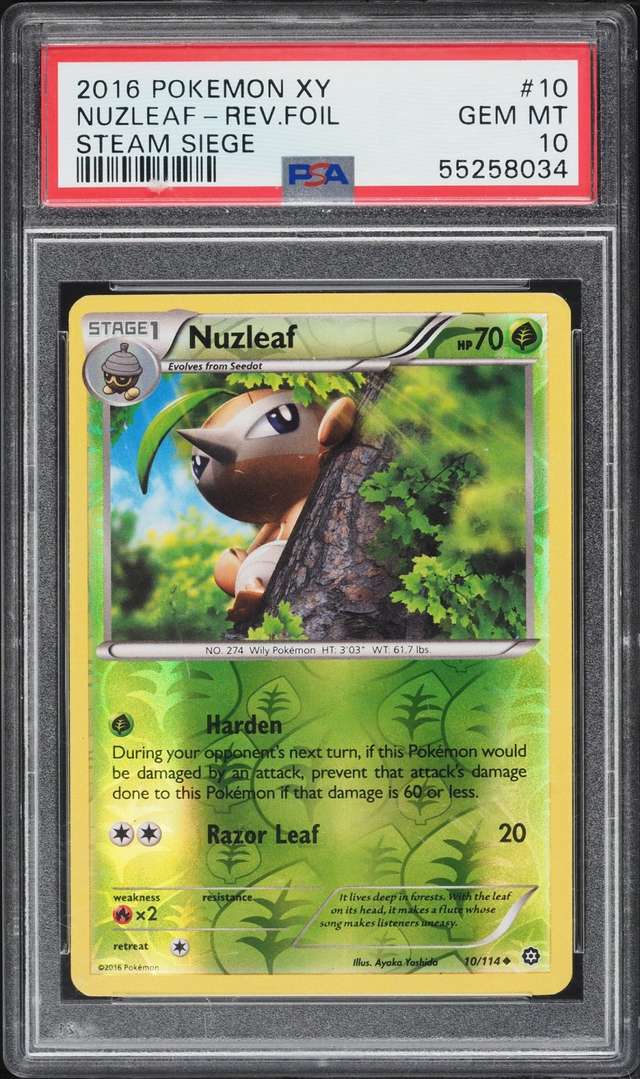 NUZLEAF