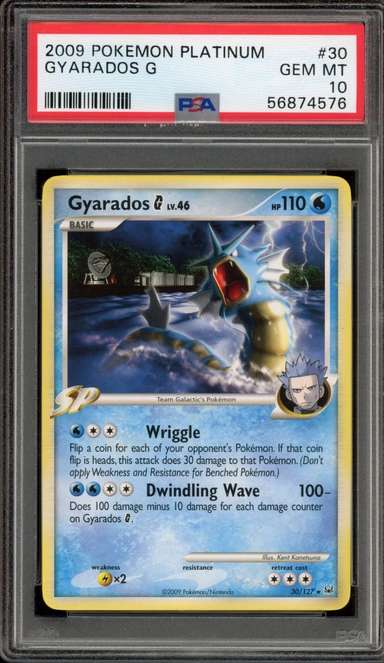 Gyarados G