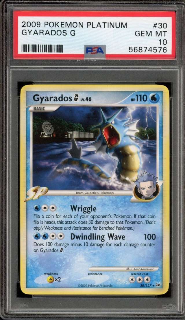 Gyarados G