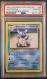 Wartortle