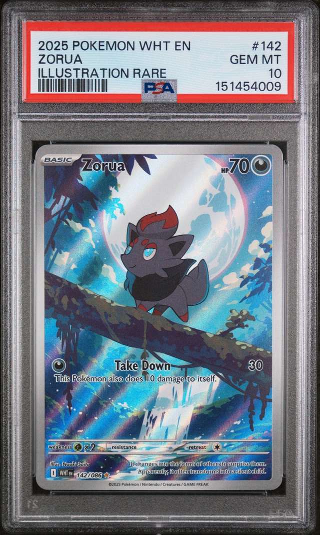 Zorua