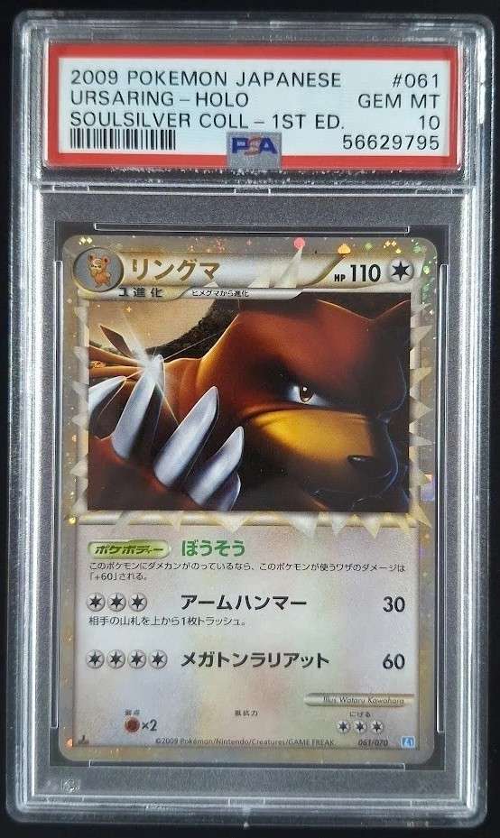 Ursaring