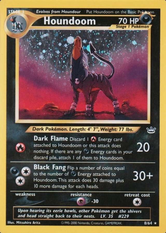 Holo