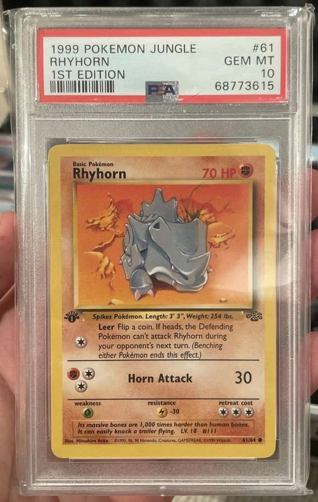 Rhyhorn