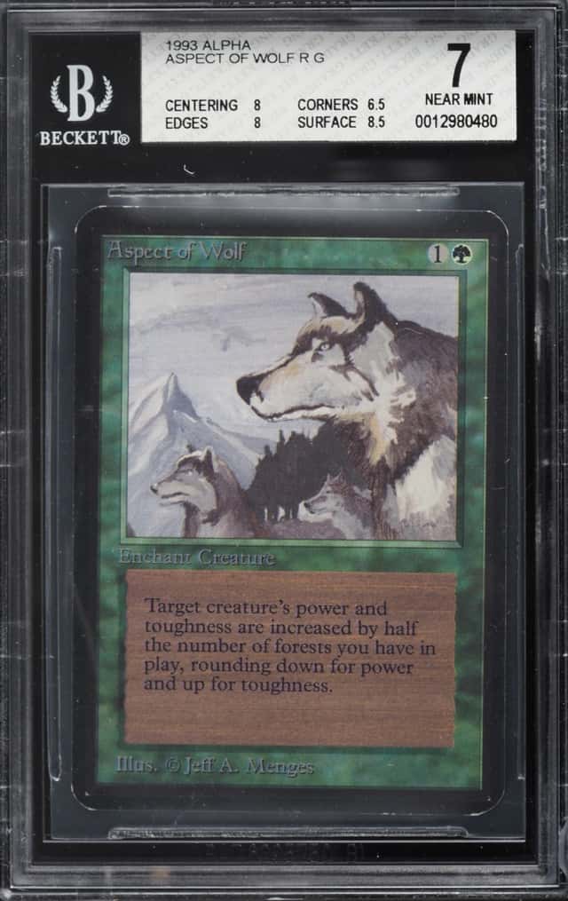 Aspect of Wolf