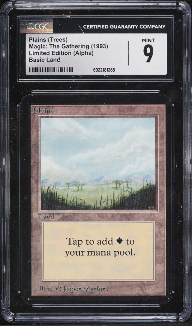 Plains