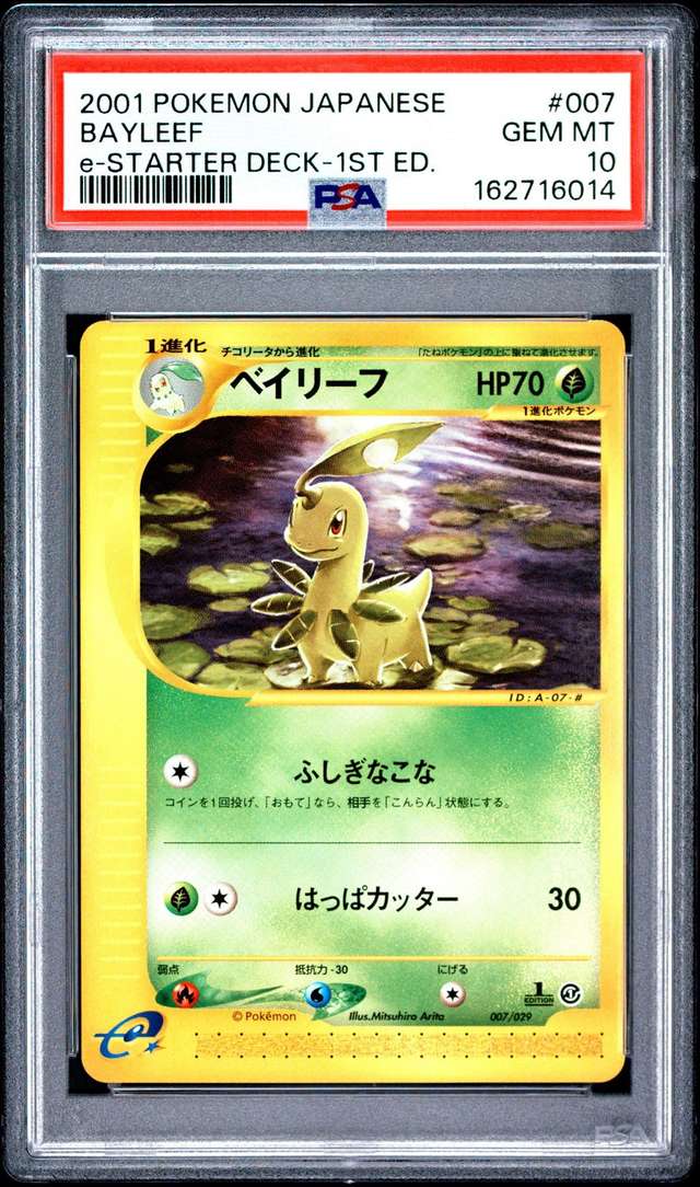 Bayleef