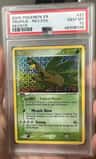 Tropius