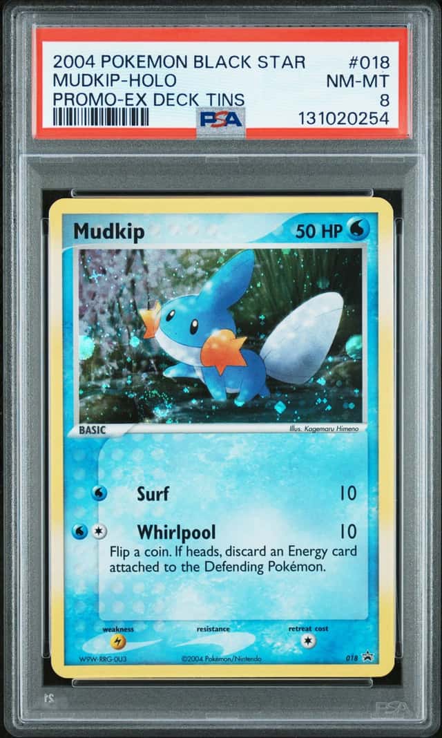 Mudkip