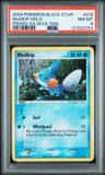 Mudkip