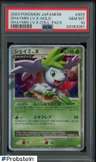 Shaymin Lv X