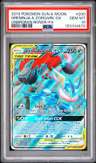 Greninja & Zoroark Gx