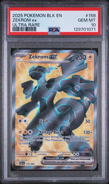 ZEKROM ex