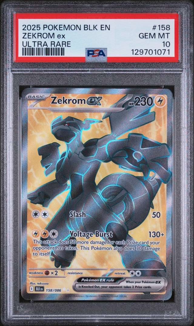 ZEKROM ex