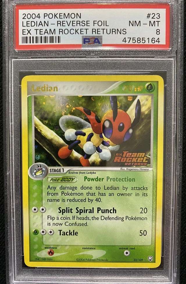 LEDIAN