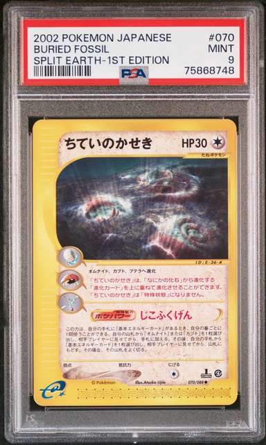 Buried Fossil