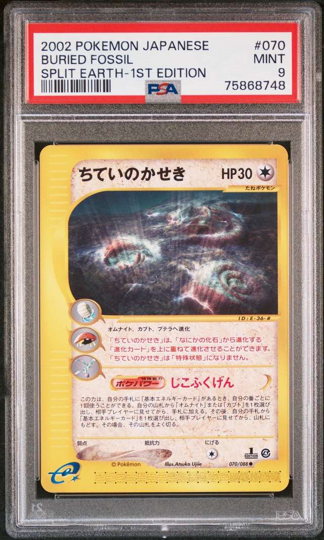 Buried Fossil