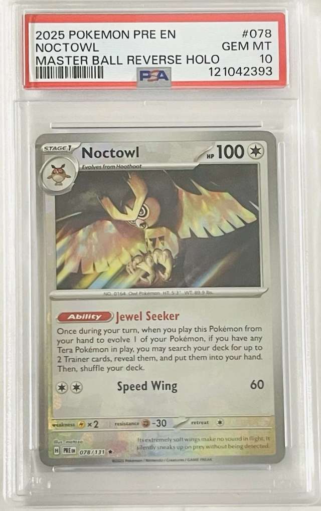 Noctowl