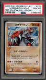 _____'S Groudon-Holo