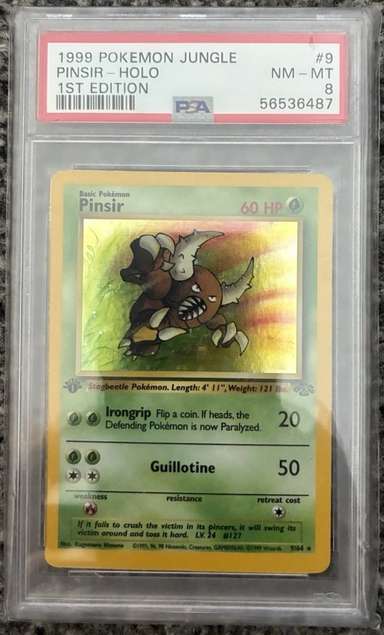 Pinsir