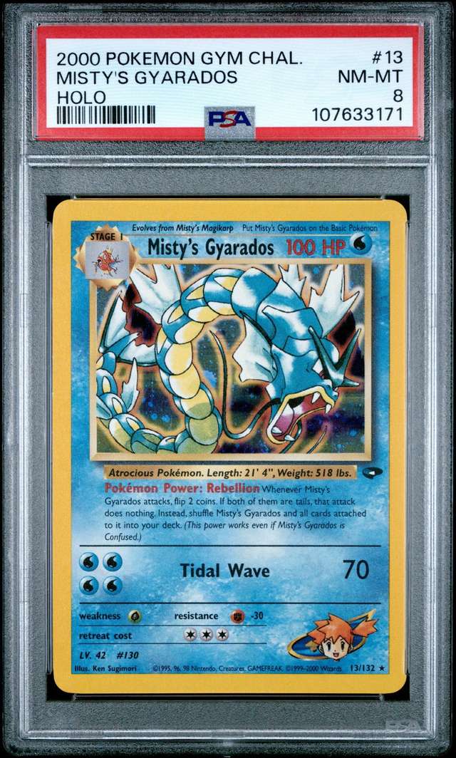 Misty's Gyarados