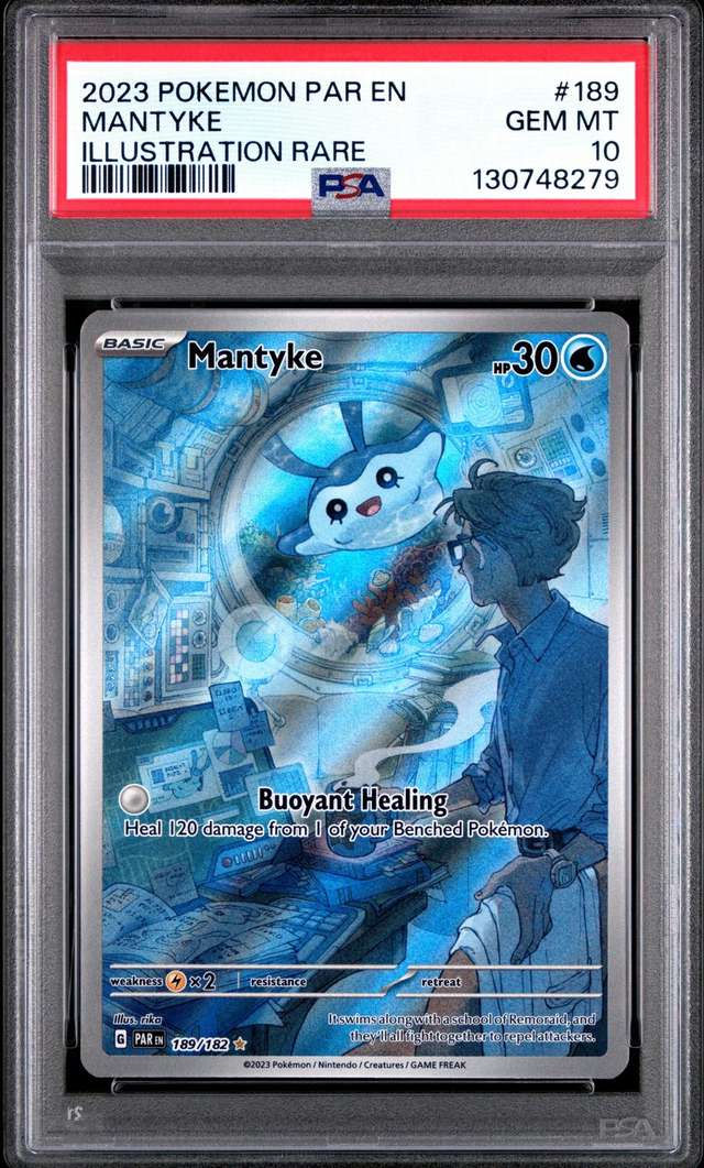 Mantyke