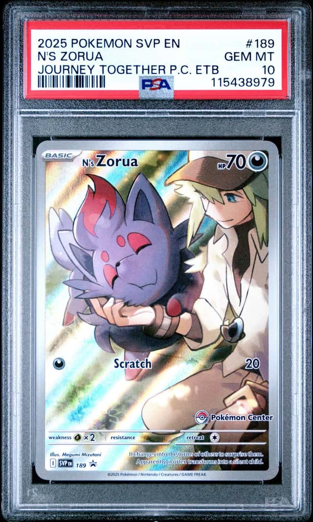 N'S ZORUA