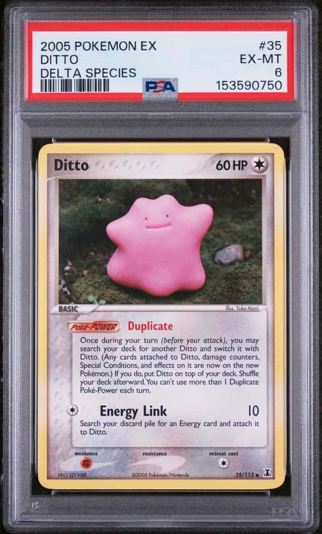 Ditto
