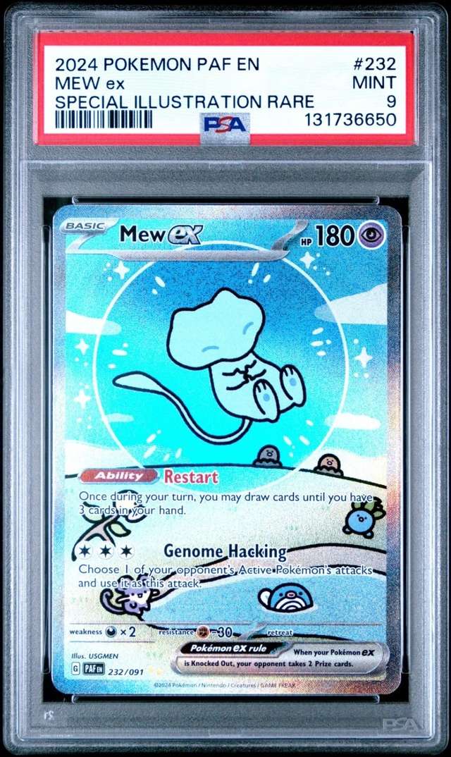 MEW ex