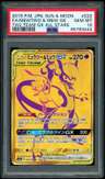 Mewtwo & Mew Gx
