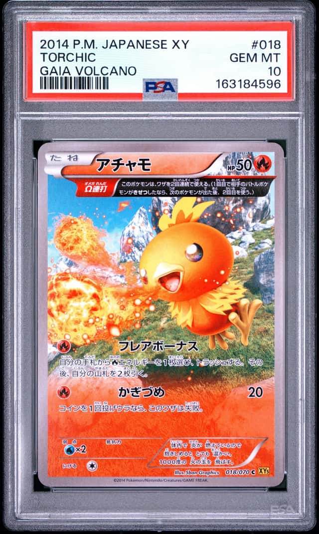 Torchic