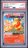 Torchic