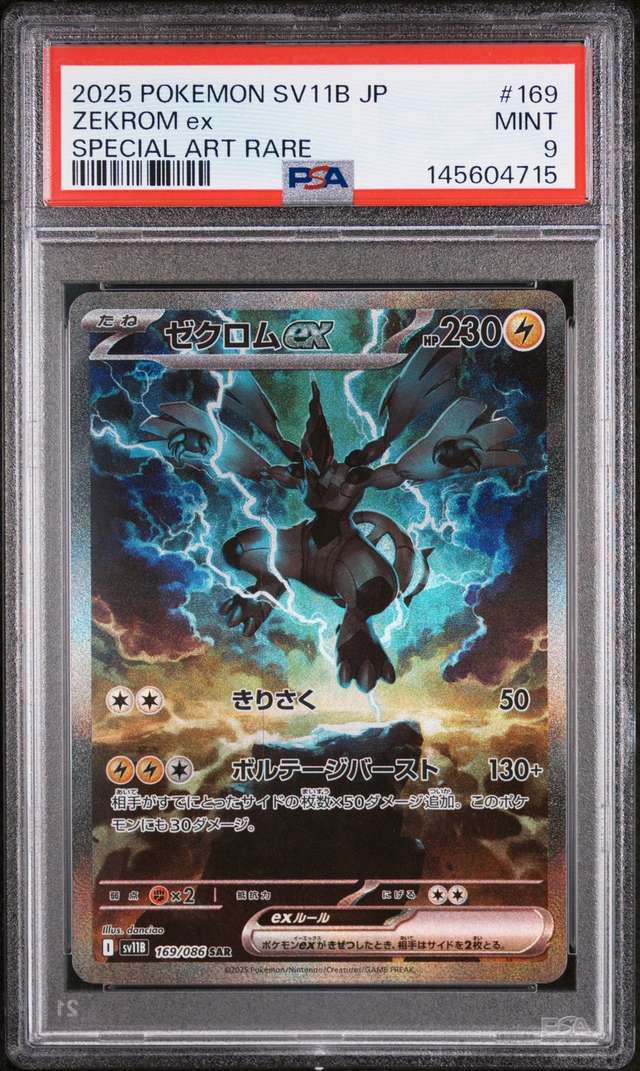 ZEKROM ex