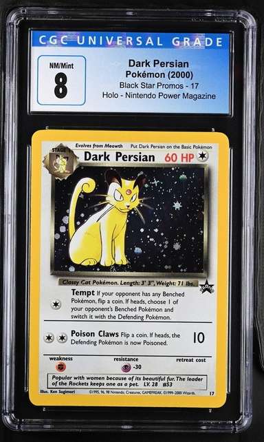 Dark Persian