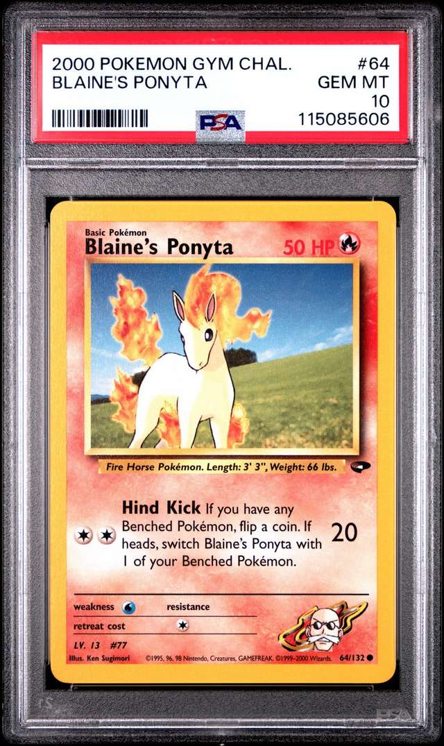 BLAINE'S PONYTA