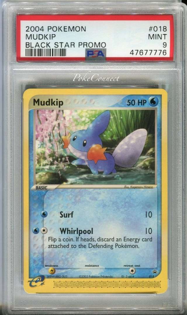 Mudkip