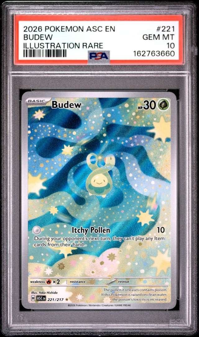 Budew
