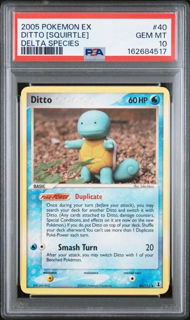 Ditto [Squirtle]
