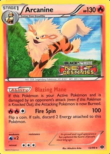 Holo · Prerelease