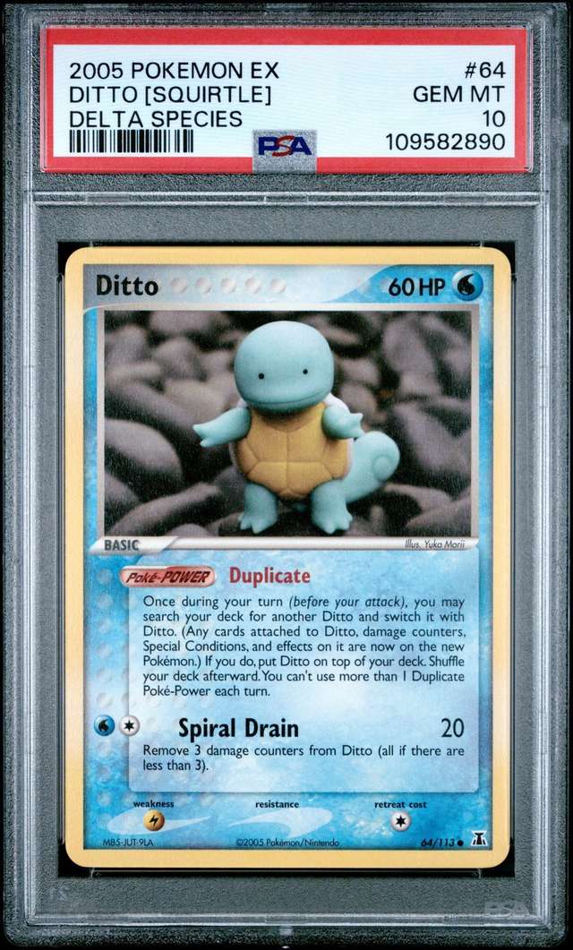 Ditto [Squirtle]