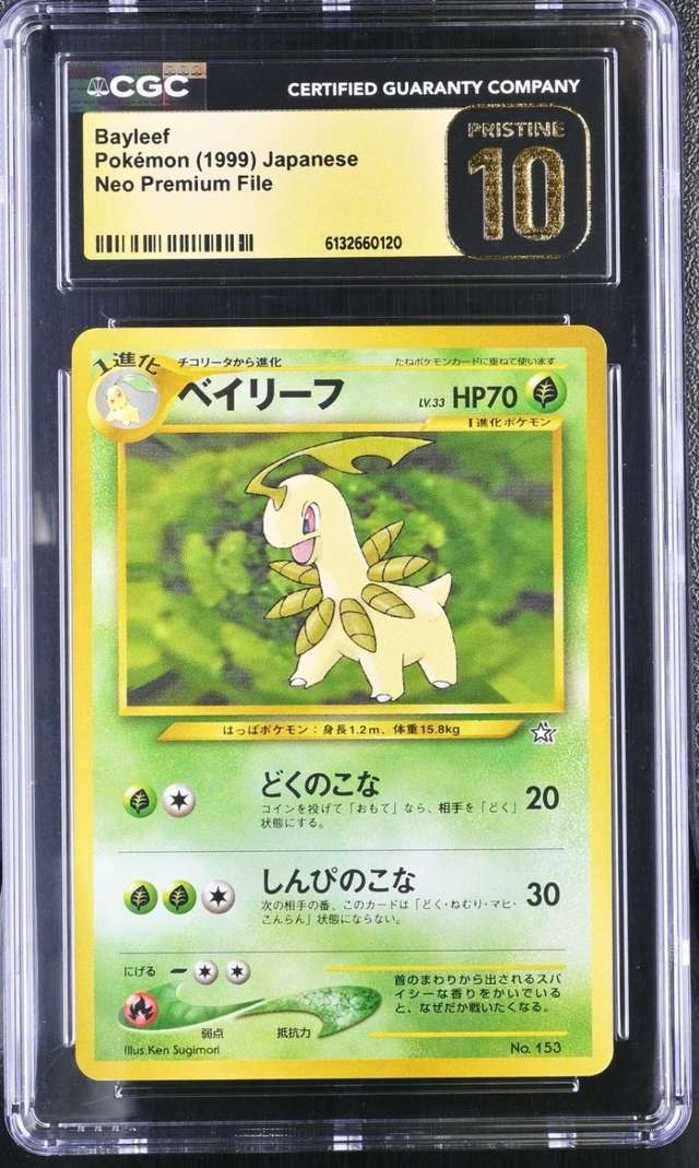 Bayleef